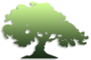 The NGO Caribbean Development Foundation